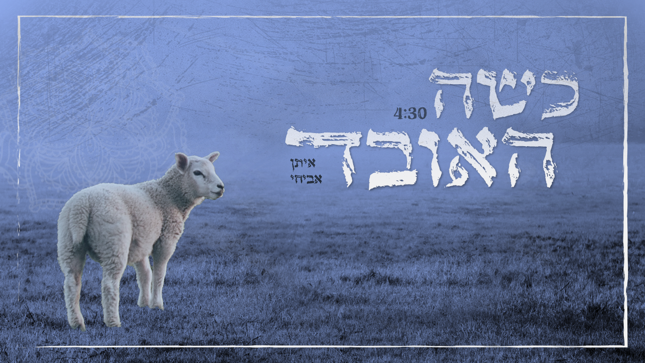 כשה האובד