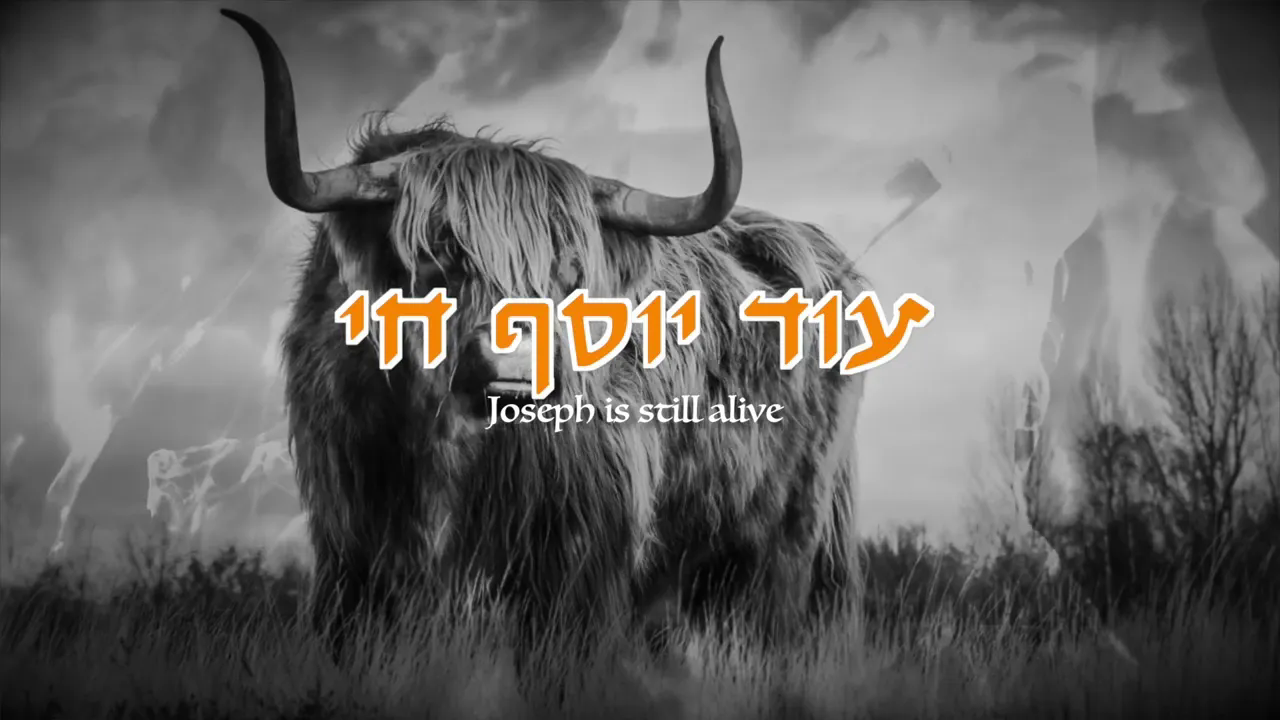 להקת גור אריה - עוד יוסף חי