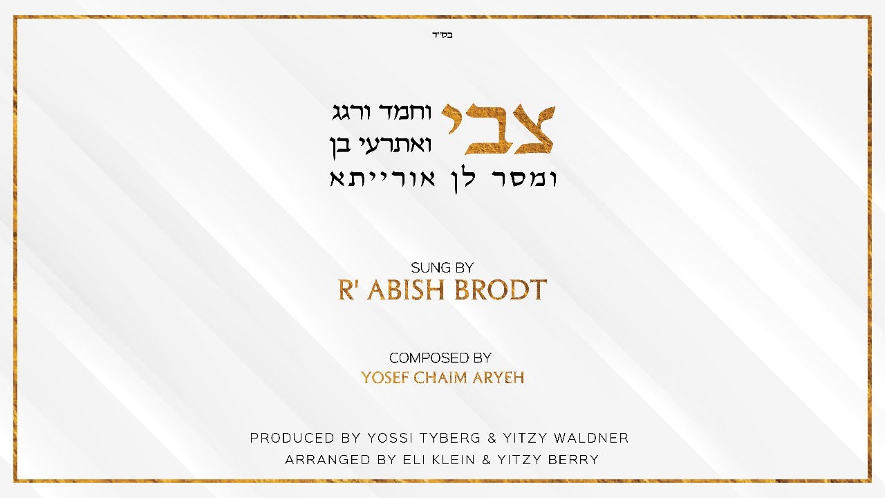 אביש בראדט - צבי