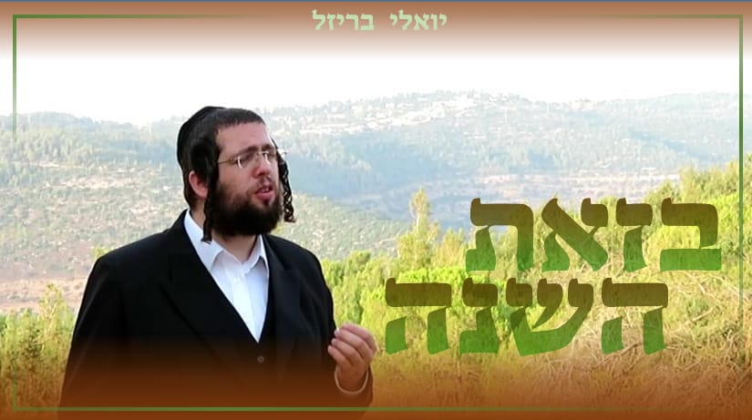 יואלי בריזל - בזאת השנה