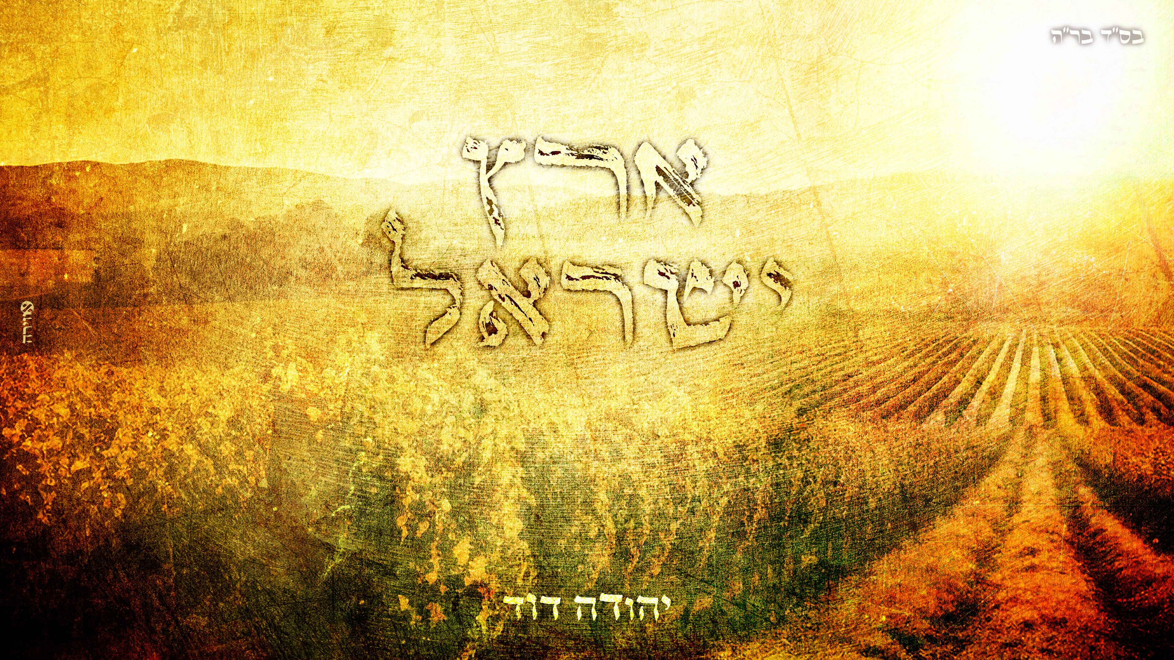 יהודה דוד - ארץ ישראל