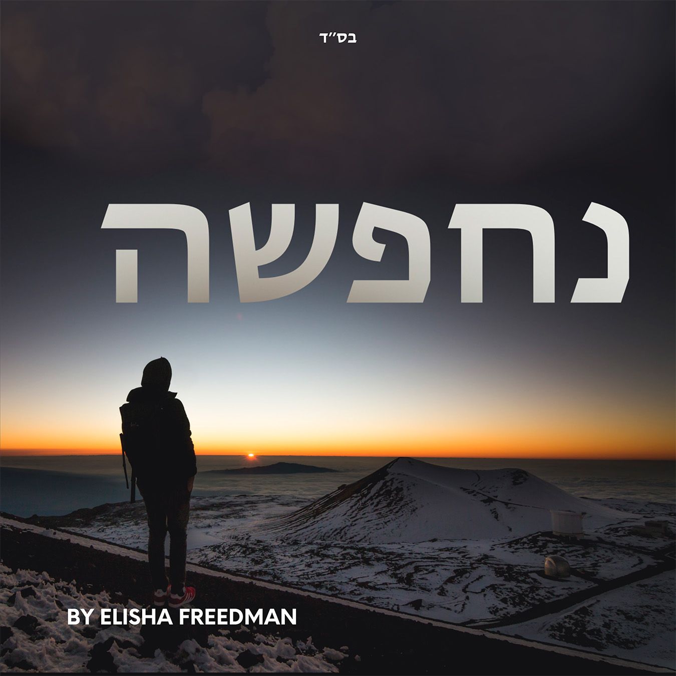 אלישע פרידמן - נחפשה