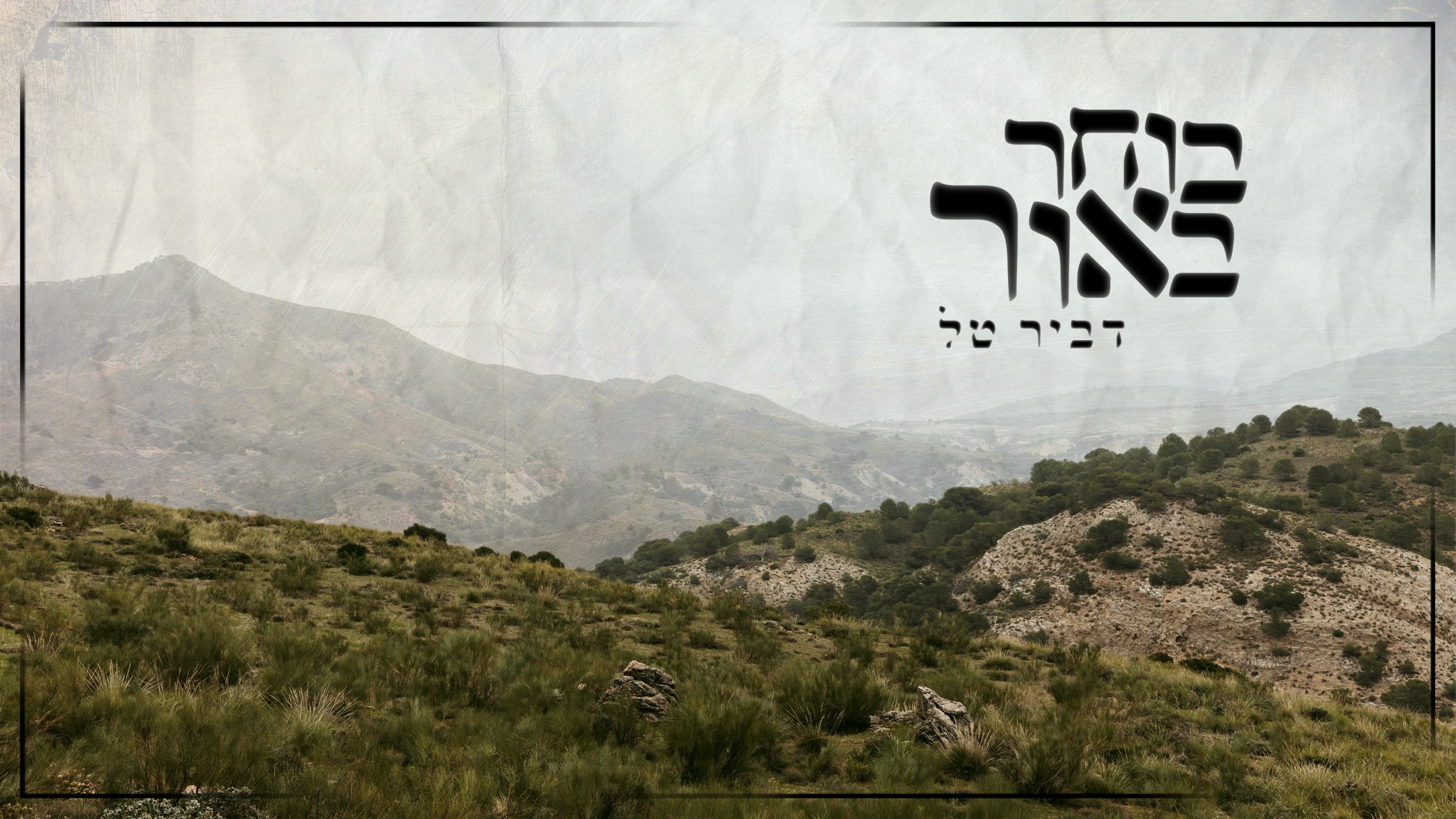 בוחר באור
