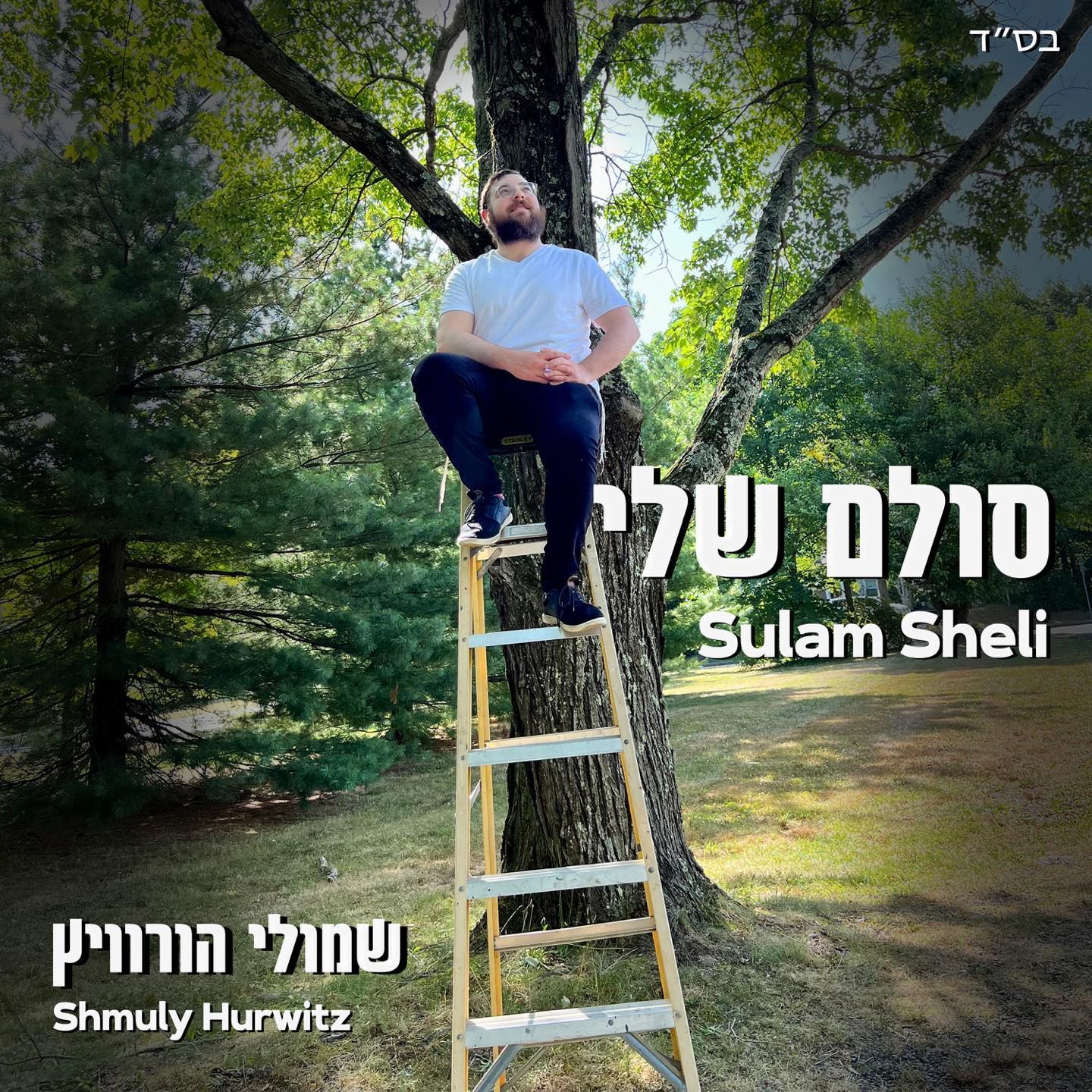 שמולי הורוויץ - סולם שלי