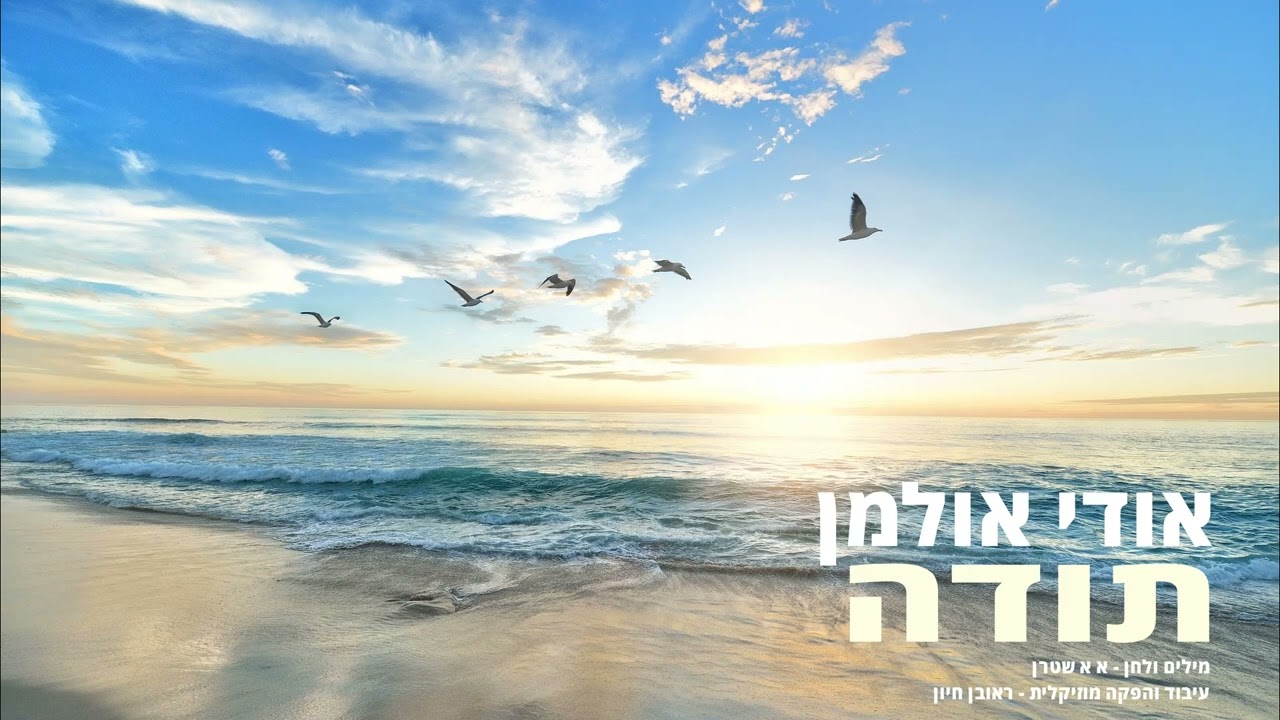 אודי אולמן - תודה