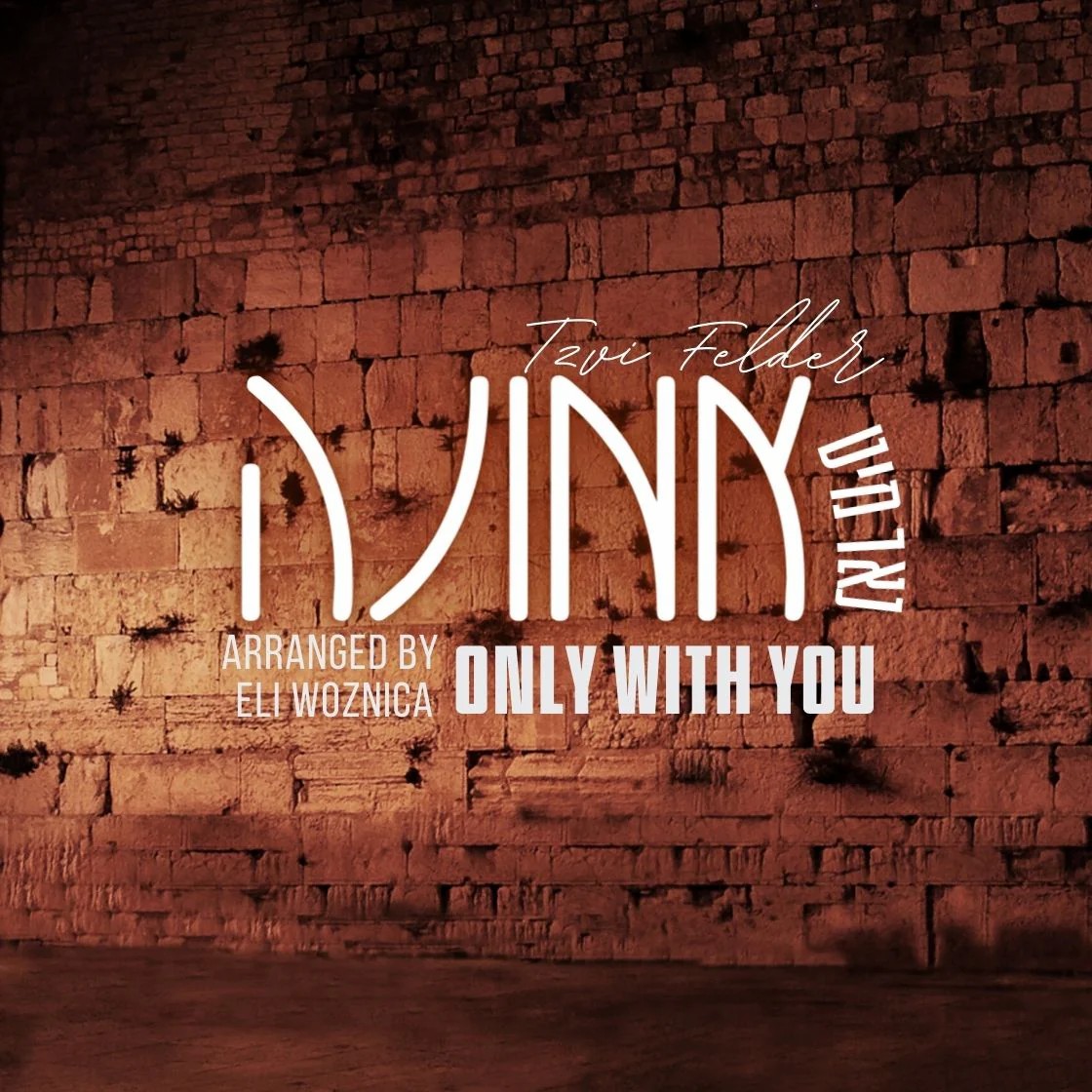צבי פלדר - נאר מיט אמונה