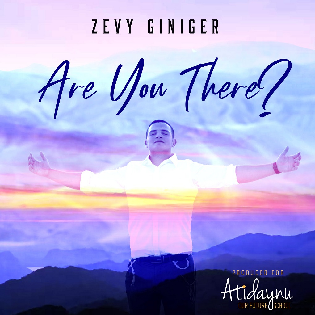 זאבי גיניג'ר - Are You There
