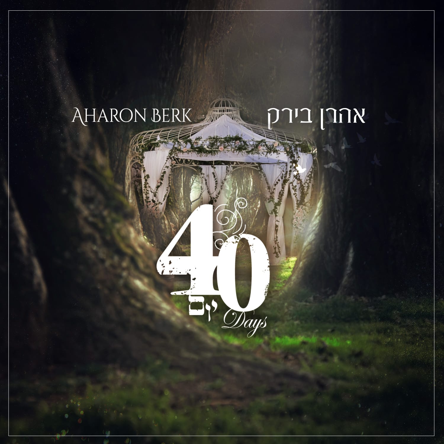 אהרן בירק - 40 יום