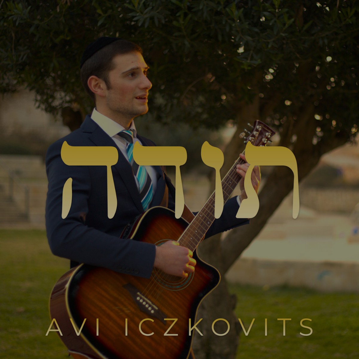 אבי איצקוביץ - תודה