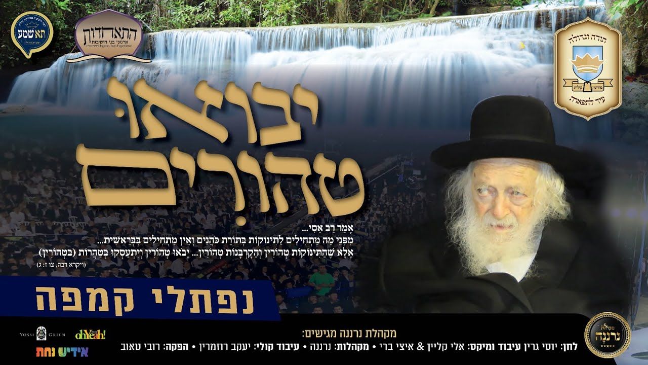 נפתלי קמפה - יבואו טהורים