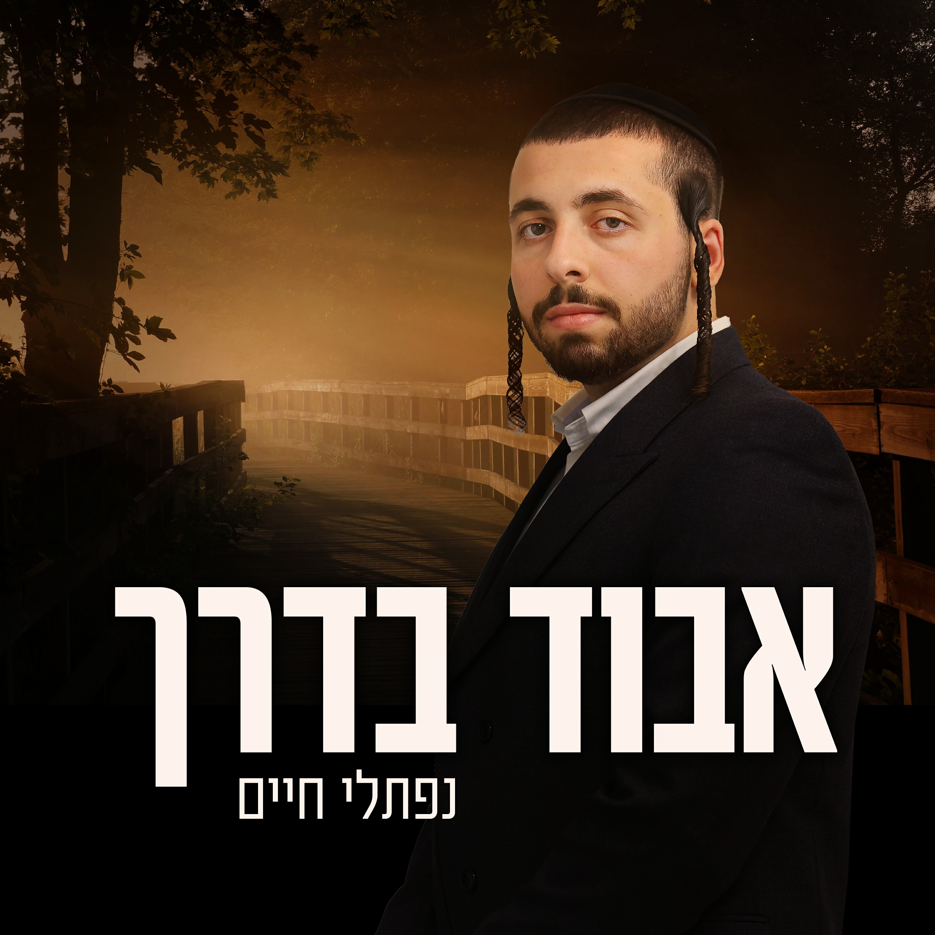 נפתלי חיים - אבוד בדרך