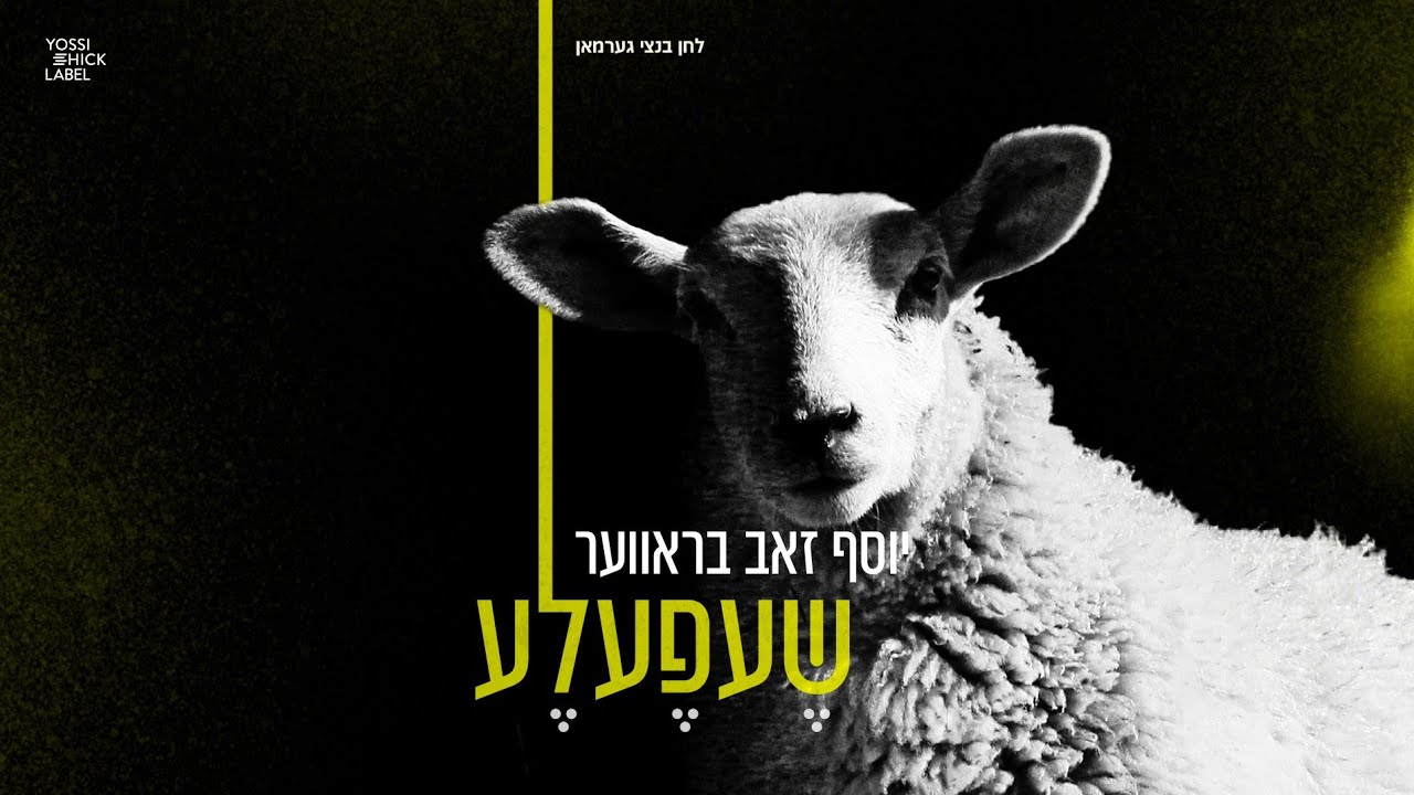 יוסף זאב בראווער - שעפעלע