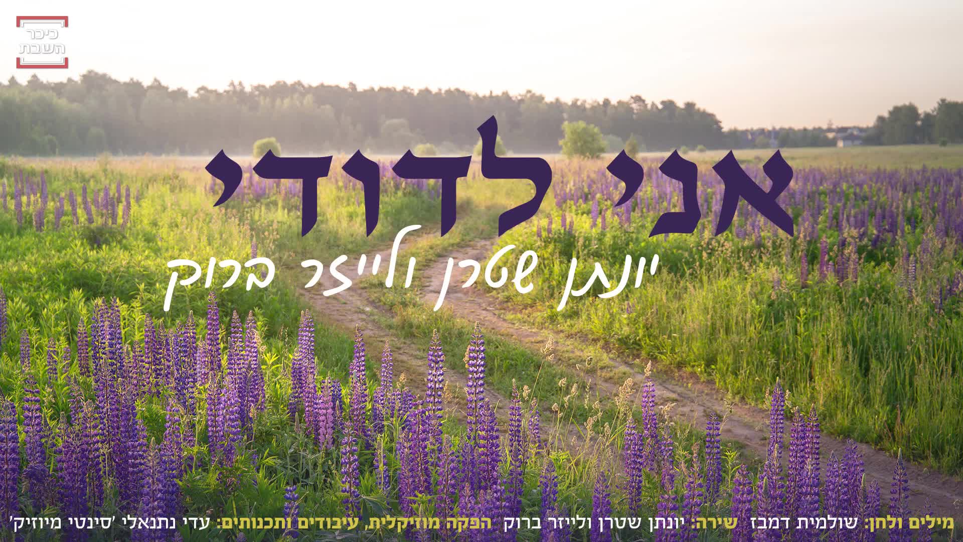 יונתן שטרן & לייזר ברוק - אני לדודי