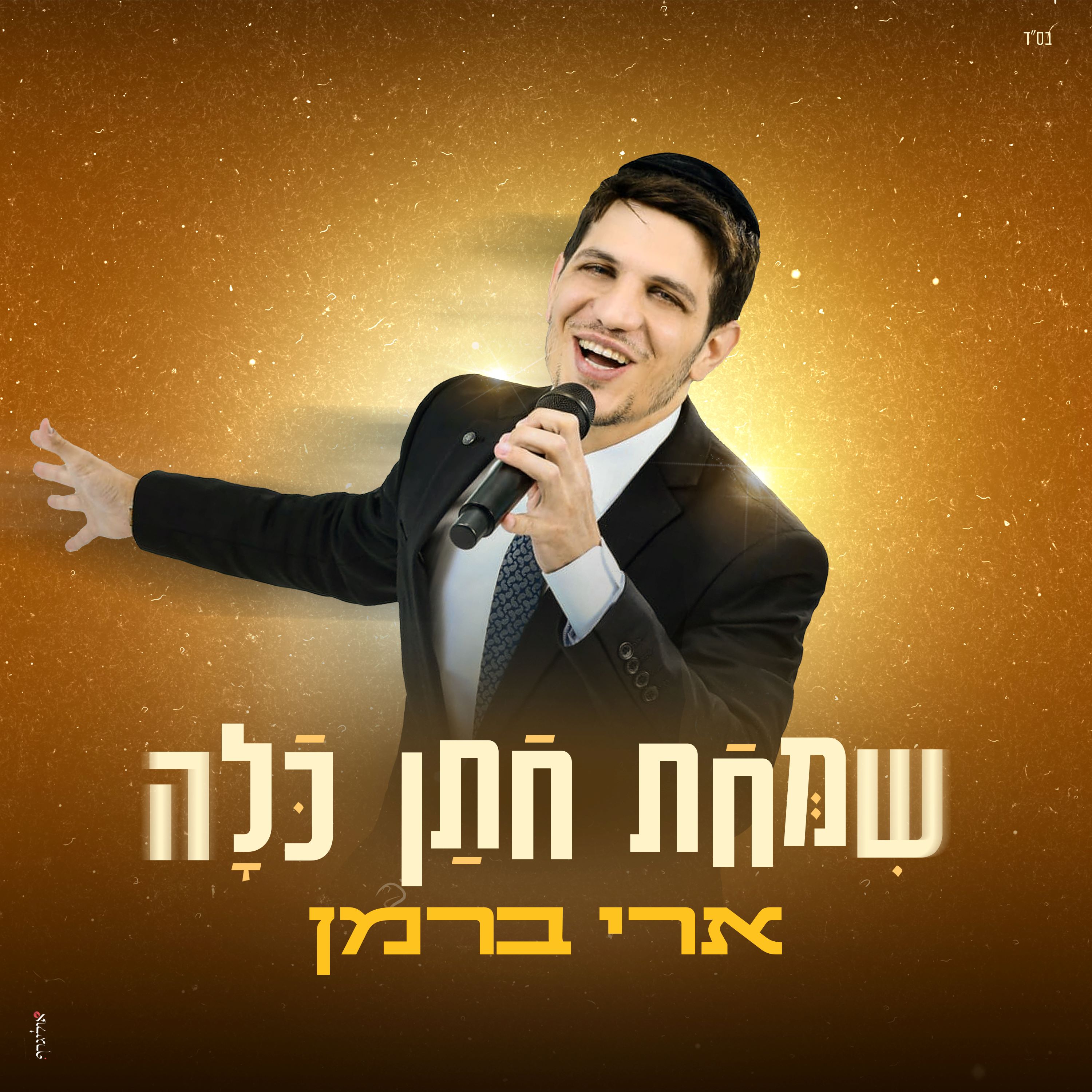 ארי ברמן - שמחת חתן כלה